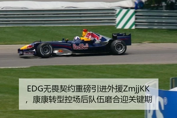 EDG无畏契约重磅引进外援ZmjjKK，康康转型控场后队伍磨合迎关键期